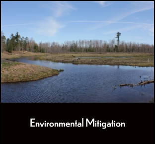 Environmental Mitigation
